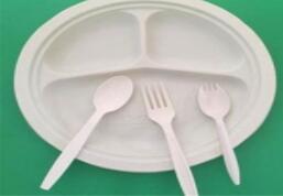 一次性餐具廠(chǎng)家